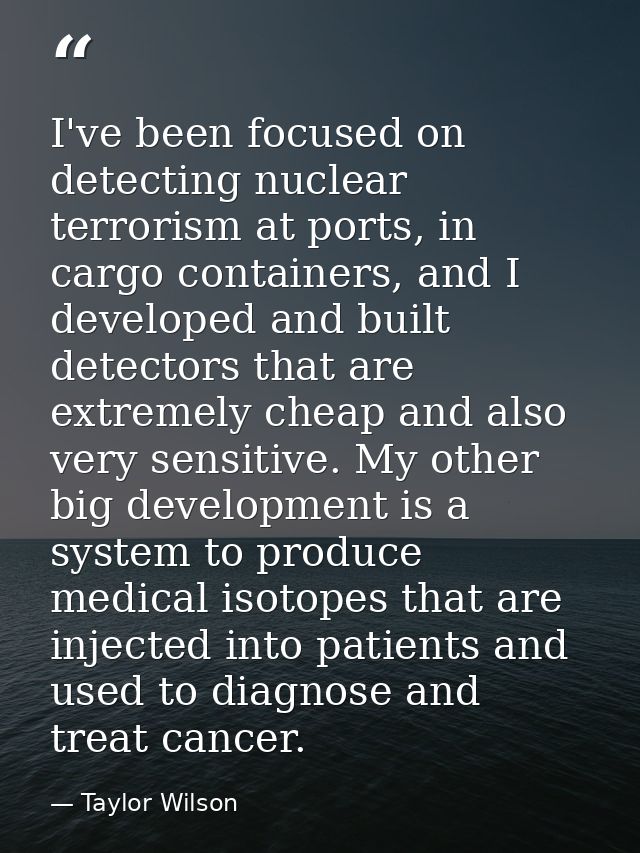 I've been focused on detecting nuclear terrorism at ports, in cargo containers, and I developed and built detectors that — Taylor Wilson