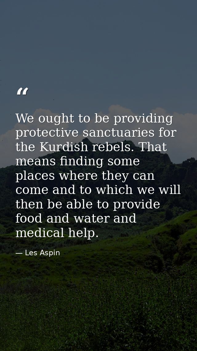 We ought to be providing protective sanctuaries for the Kurdish rebels. That means finding some places where they can co — Les Aspin