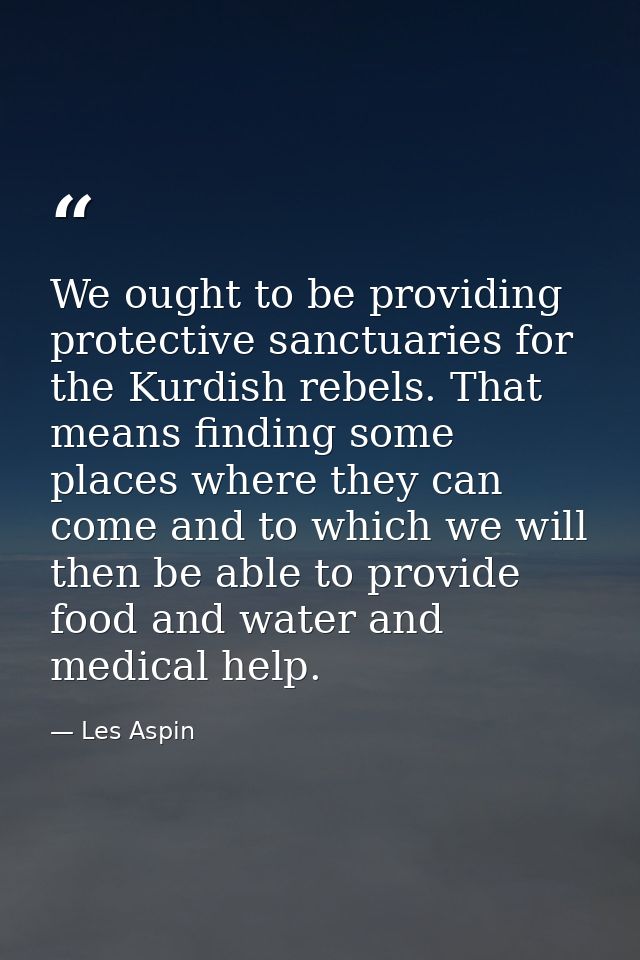 We ought to be providing protective sanctuaries for the Kurdish rebels. That means finding some places where they can co — Les Aspin