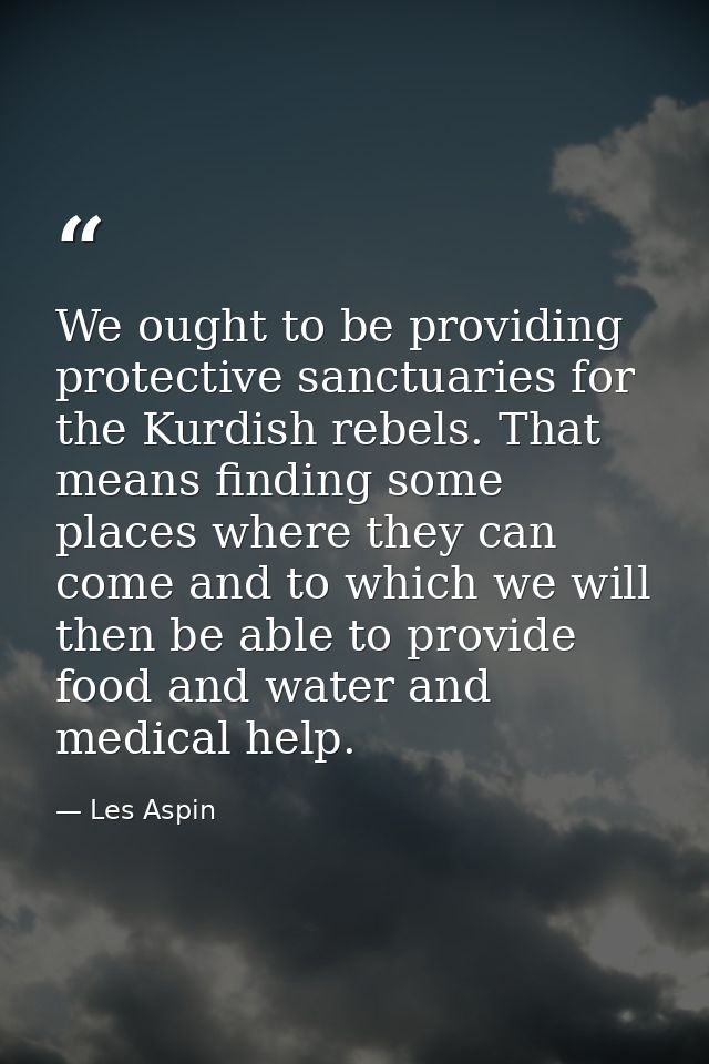 We ought to be providing protective sanctuaries for the Kurdish rebels. That means finding some places where they can co — Les Aspin