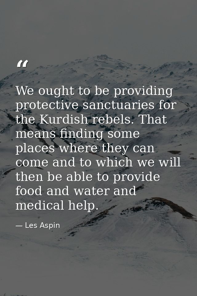 We ought to be providing protective sanctuaries for the Kurdish rebels. That means finding some places where they can co — Les Aspin