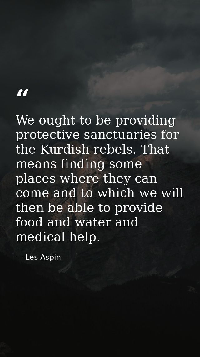 We ought to be providing protective sanctuaries for the Kurdish rebels. That means finding some places where they can co — Les Aspin