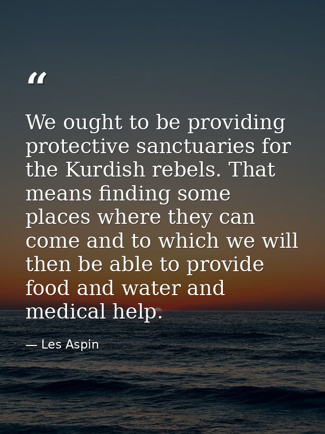 We ought to be providing protective sanctuaries for the Kurdish rebels. That means finding some places where they can co — Les Aspin
