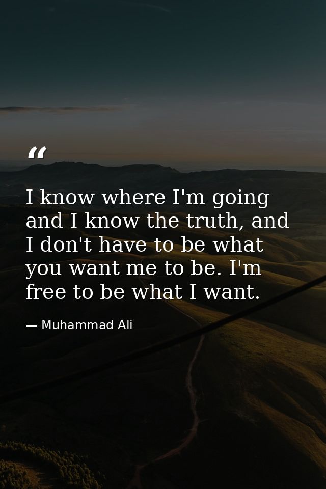 I know where I'm going and I know the truth, and I don't have to be what you want me to be. I'm free to be what I want. — Muhammad Ali