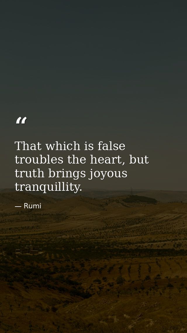 That which is false troubles the heart, but truth brings joyous tranquillity. — Rumi