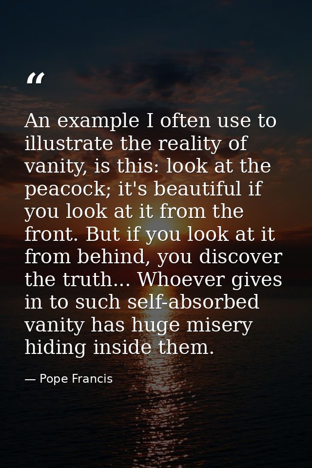 An example I often use to illustrate the reality of vanity, is this: look at the peacock; it's beautiful if you look at  — Pope Francis