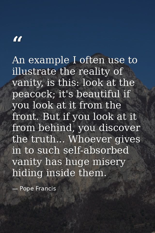 An example I often use to illustrate the reality of vanity, is this: look at the peacock; it's beautiful if you look at  — Pope Francis
