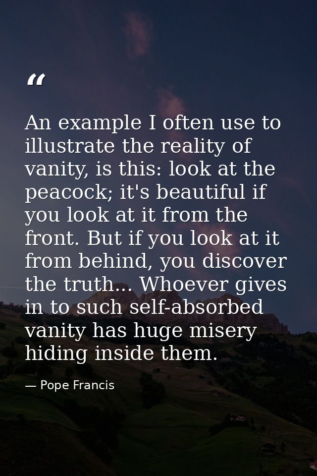 An example I often use to illustrate the reality of vanity, is this: look at the peacock; it's beautiful if you look at  — Pope Francis