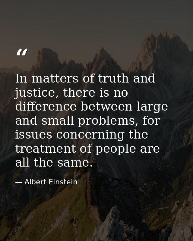 In matters of truth and justice, there is no difference between large and small problems, for issues concerning the trea — Albert Einstein