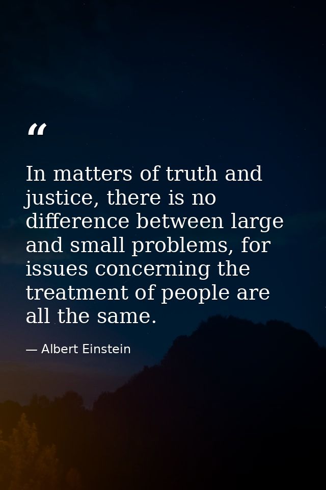 In matters of truth and justice, there is no difference between large and small problems, for issues concerning the trea — Albert Einstein