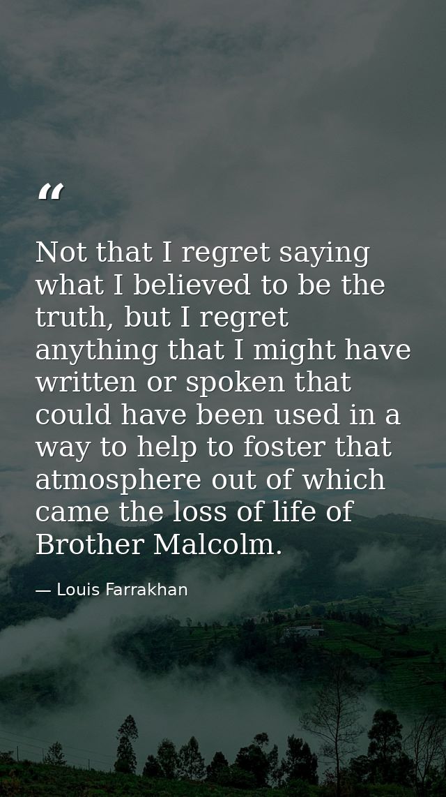 Not that I regret saying what I believed to be the truth, but I regret anything that I might have written or spoken that — Louis Farrakhan