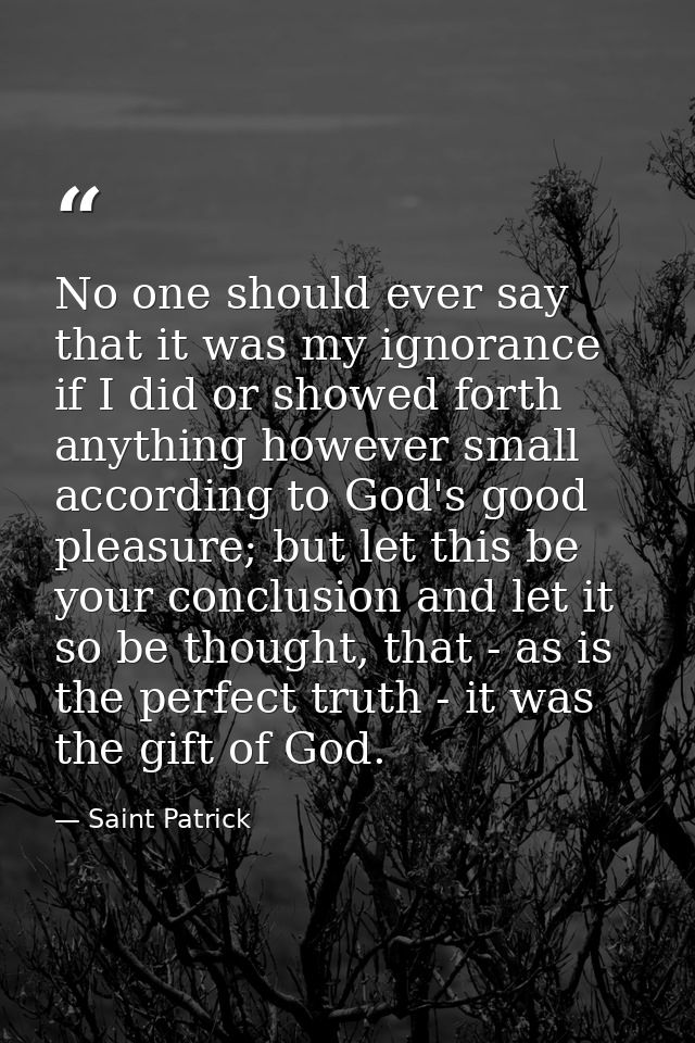 No one should ever say that it was my ignorance if I did or showed forth anything however small according to God's good  — Saint Patrick