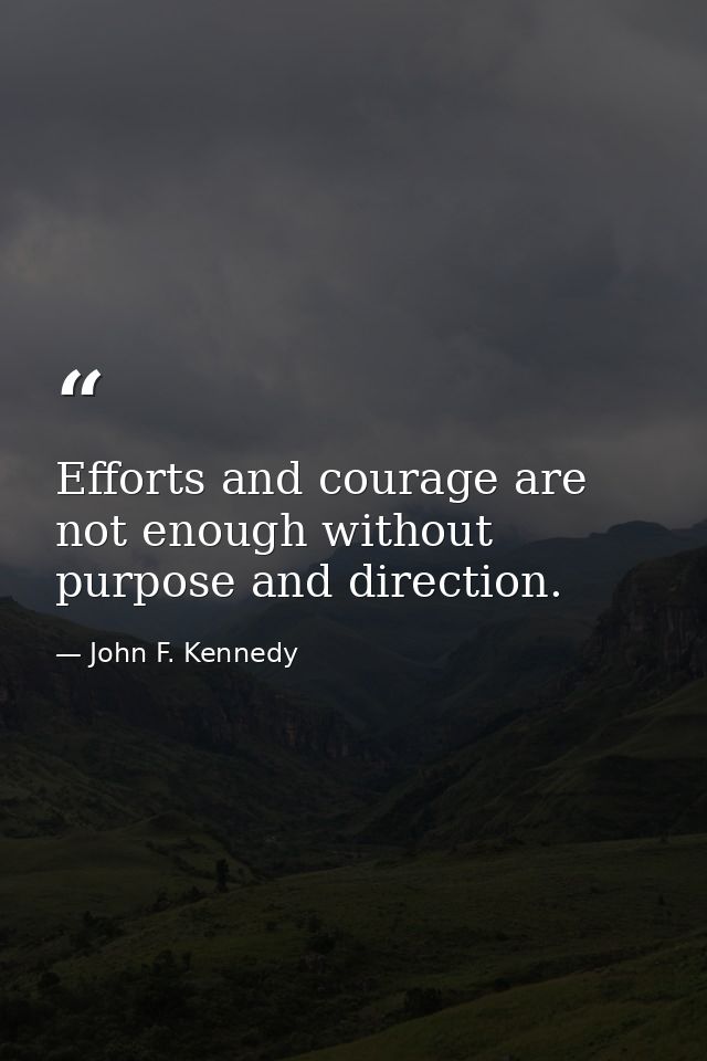 Efforts and courage are not enough without purpose and direction. — John F. Kennedy