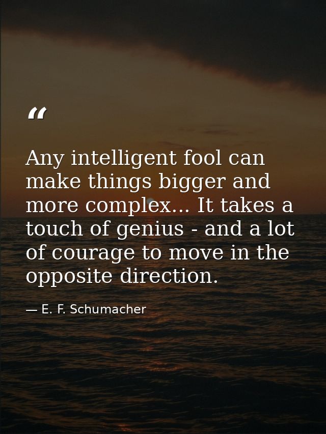 Any intelligent fool can make things bigger and more complex... It takes a touch of genius - and a lot of courage to mov — E. F. Schumacher