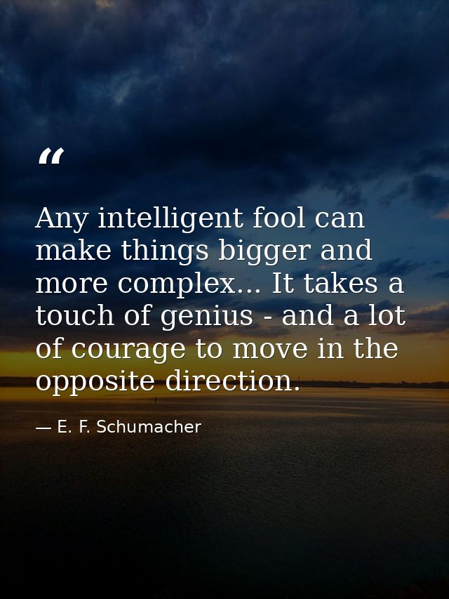 Any intelligent fool can make things bigger and more complex... It takes a touch of genius - and a lot of courage to mov — E. F. Schumacher