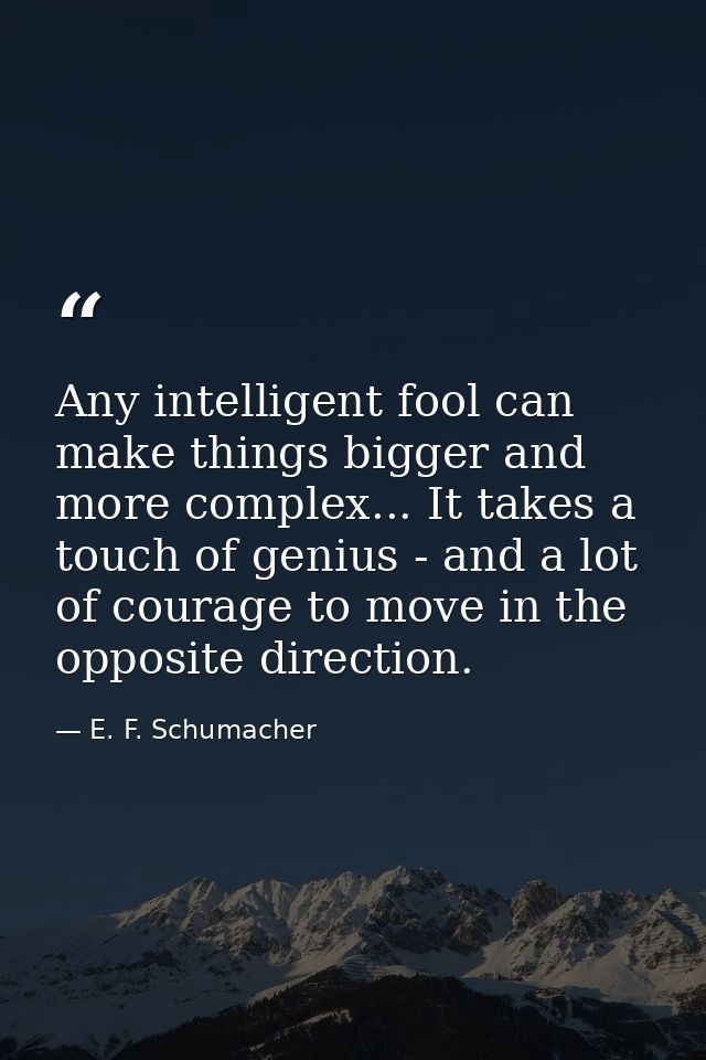Any intelligent fool can make things bigger and more complex... It takes a touch of genius - and a lot of courage to mov — E. F. Schumacher