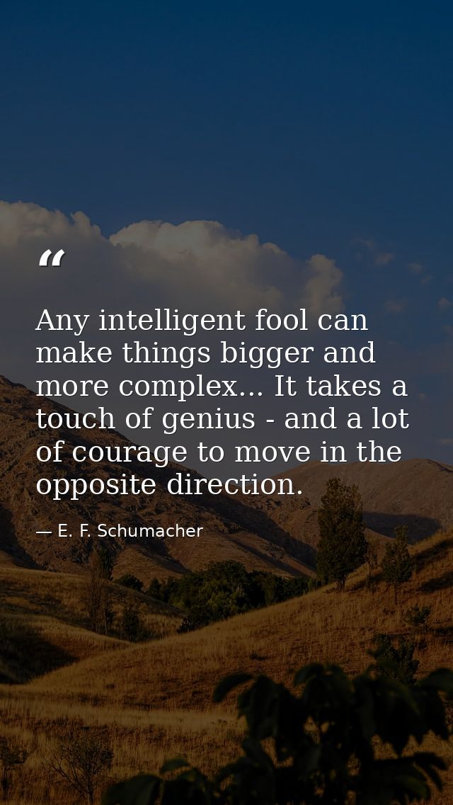 Any intelligent fool can make things bigger and more complex... It takes a touch of genius - and a lot of courage to mov — E. F. Schumacher