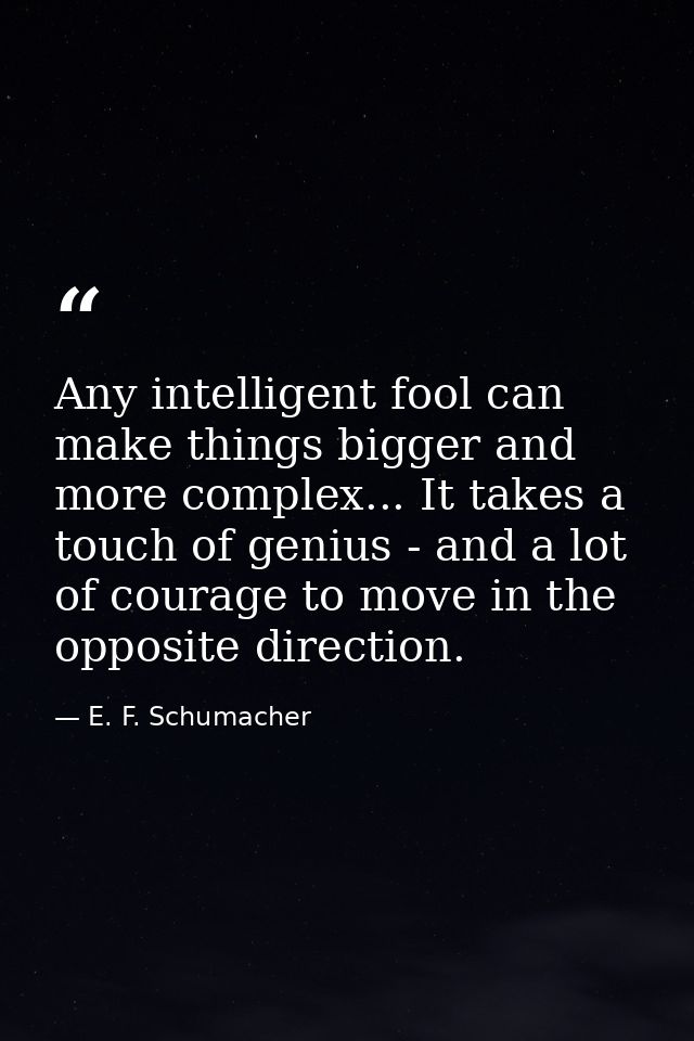 Any intelligent fool can make things bigger and more complex... It takes a touch of genius - and a lot of courage to mov — E. F. Schumacher