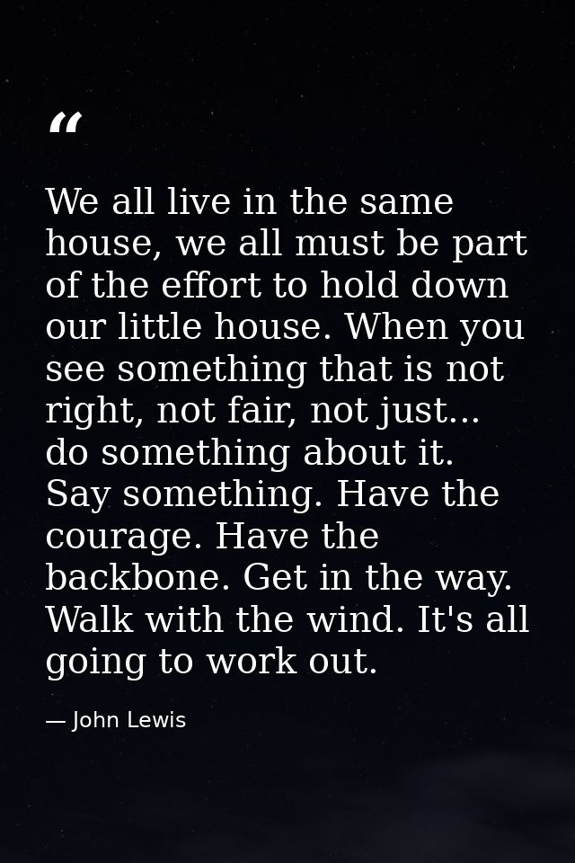 We all live in the same house, we all must be part of the effort to hold down our little house. When you see something t — John Lewis