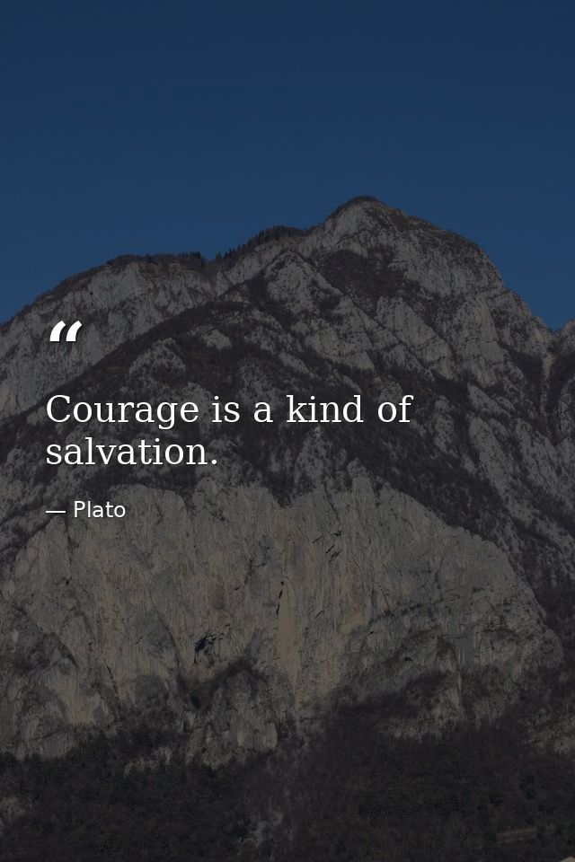 Courage is a kind of salvation. — Plato