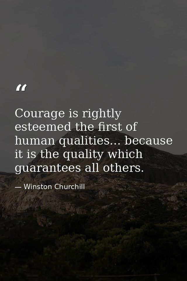 Courage is rightly esteemed the first of human qualities... because it is the quality which guarantees all others. — Winston Churchill