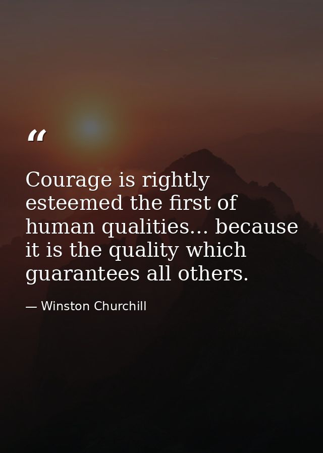 Courage is rightly esteemed the first of human qualities... because it is the quality which guarantees all others. — Winston Churchill