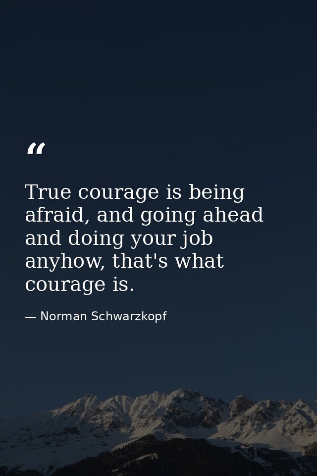 True courage is being afraid, and going ahead and doing your job anyhow, that's what courage is. — Norman Schwarzkopf
