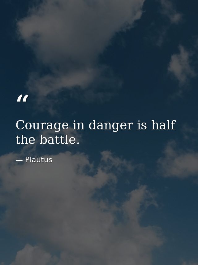 Courage in danger is half the battle. — Plautus