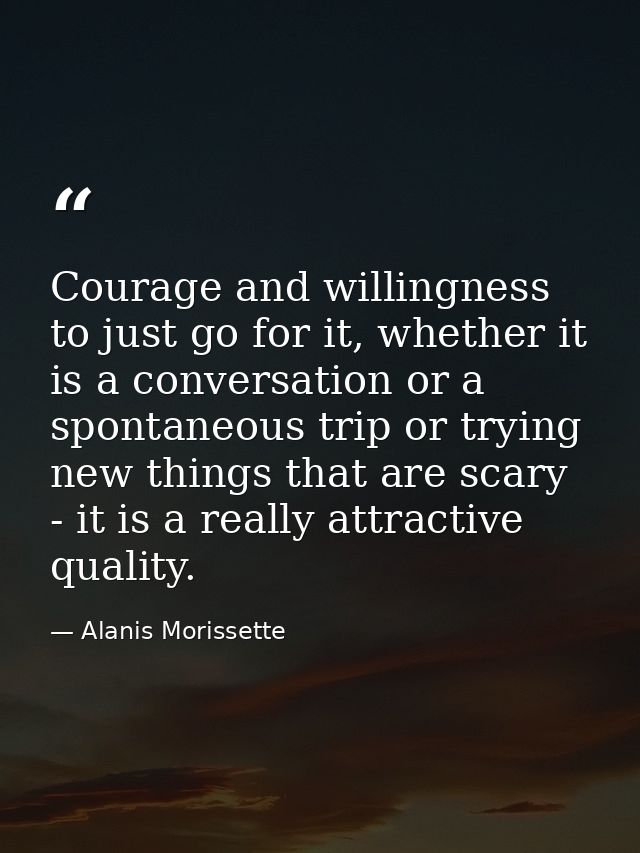 Courage and willingness to just go for it, whether it is a conversation or a spontaneous trip or trying new things that  — Alanis Morissette