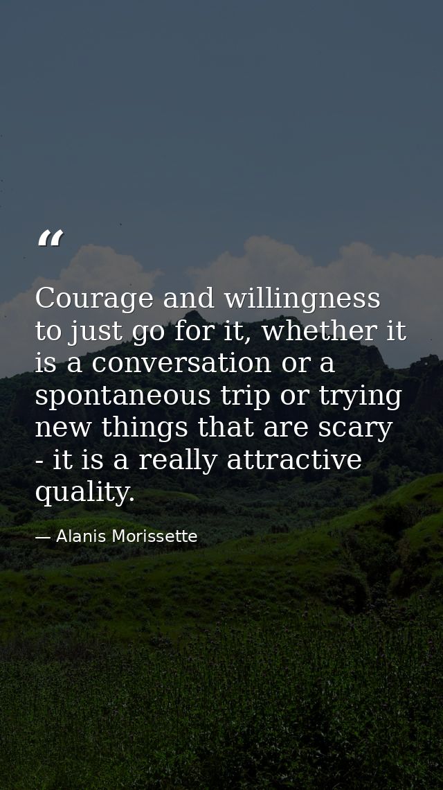 Courage and willingness to just go for it, whether it is a conversation or a spontaneous trip or trying new things that  — Alanis Morissette