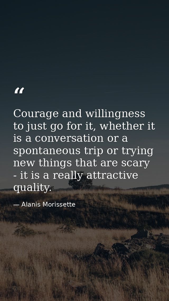 Courage and willingness to just go for it, whether it is a conversation or a spontaneous trip or trying new things that  — Alanis Morissette
