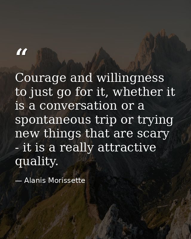Courage and willingness to just go for it, whether it is a conversation or a spontaneous trip or trying new things that  — Alanis Morissette