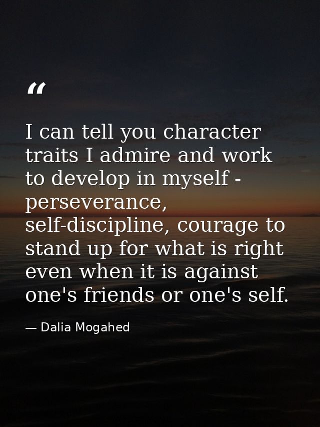 I can tell you character traits I admire and work to develop in myself - perseverance, self-discipline, courage to stand — Dalia Mogahed