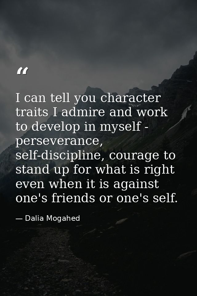 I can tell you character traits I admire and work to develop in myself - perseverance, self-discipline, courage to stand — Dalia Mogahed