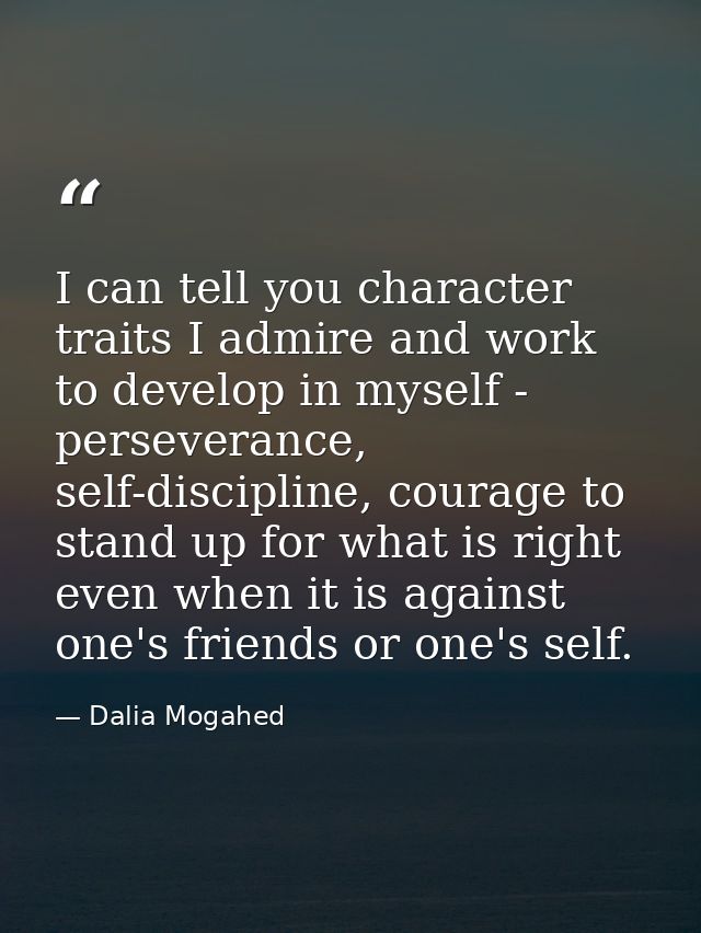I can tell you character traits I admire and work to develop in myself - perseverance, self-discipline, courage to stand — Dalia Mogahed