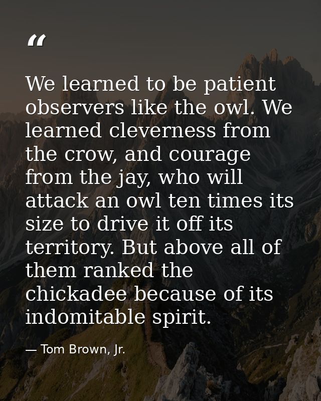We learned to be patient observers like the owl. We learned cleverness from the crow, and courage from the jay, who will — Tom Brown, Jr.