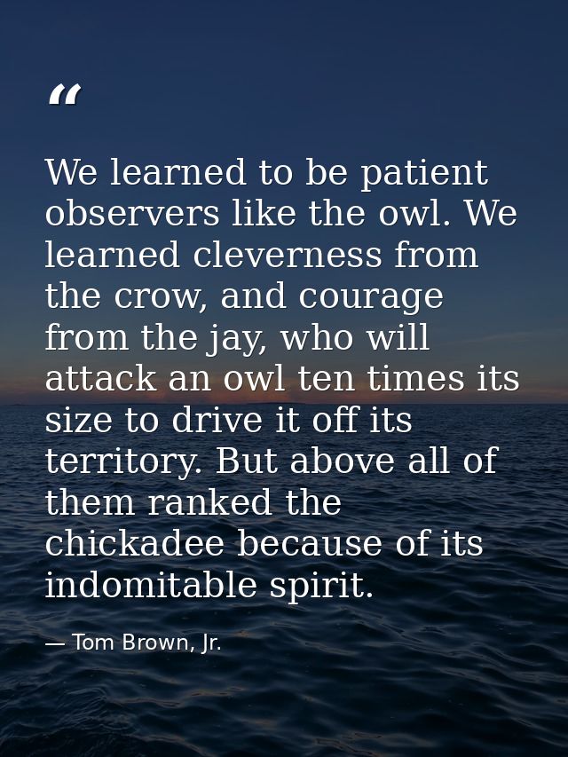 We learned to be patient observers like the owl. We learned cleverness from the crow, and courage from the jay, who will — Tom Brown, Jr.