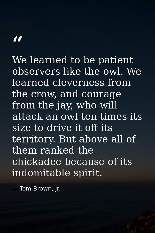 We learned to be patient observers like the owl. We learned cleverness from the crow, and courage from the jay, who will — Tom Brown, Jr.
