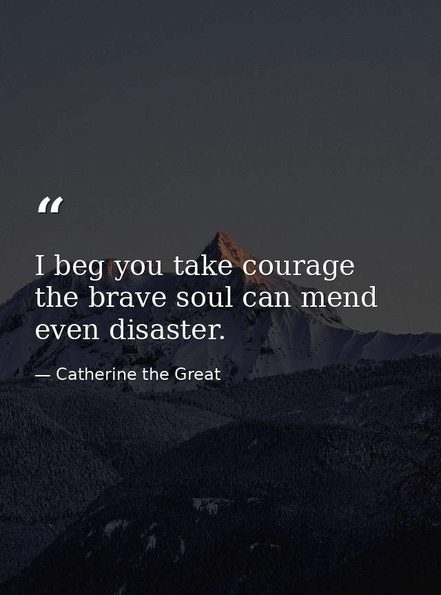 I beg you take courage the brave soul can mend even disaster. — Catherine the Great