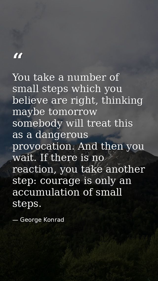You take a number of small steps which you believe are right, thinking maybe tomorrow somebody will treat this as a dang — George Konrad