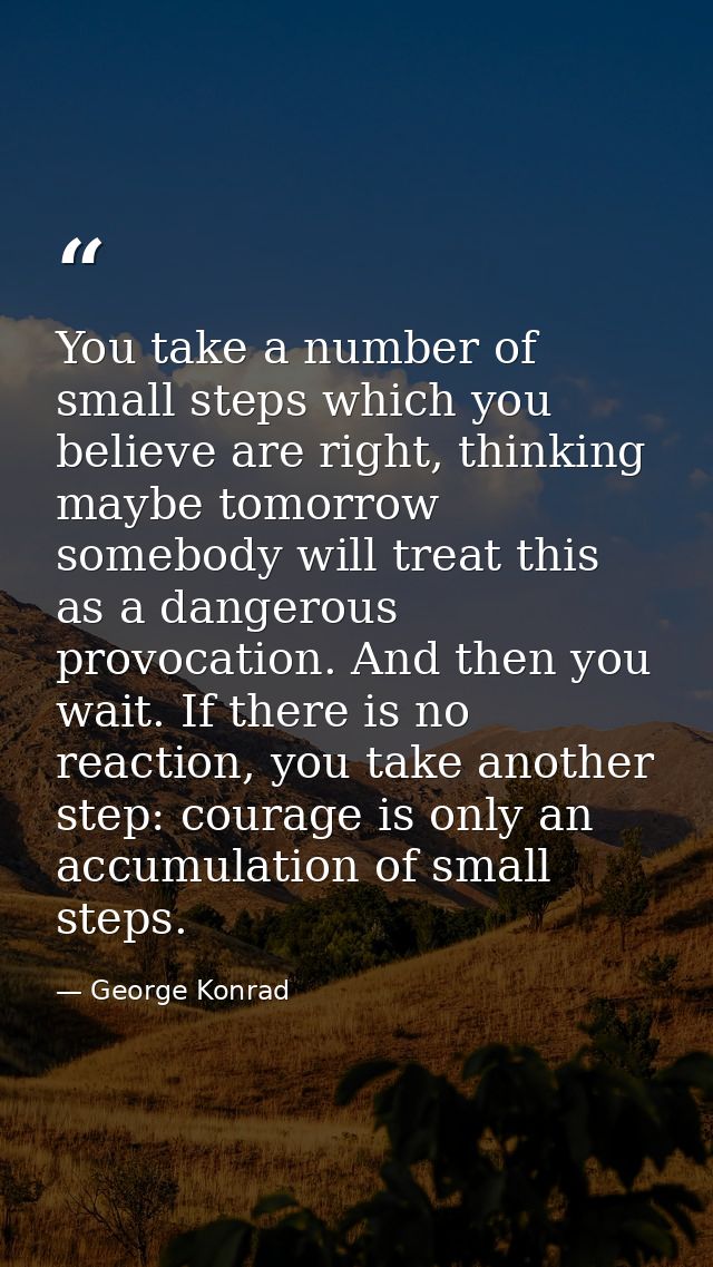 You take a number of small steps which you believe are right, thinking maybe tomorrow somebody will treat this as a dang — George Konrad