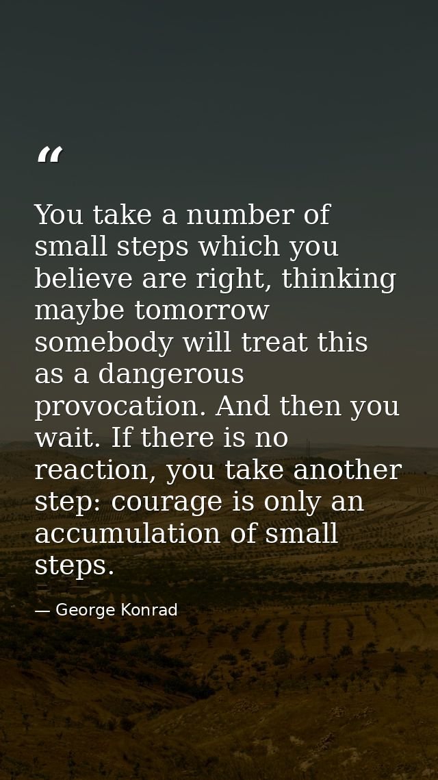 You take a number of small steps which you believe are right, thinking maybe tomorrow somebody will treat this as a dang — George Konrad