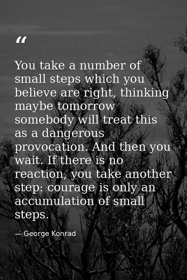 You take a number of small steps which you believe are right, thinking maybe tomorrow somebody will treat this as a dang — George Konrad