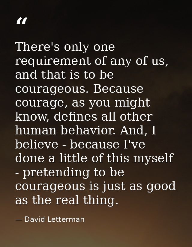 There's only one requirement of any of us, and that is to be courageous. Because courage, as you might know, defines all — David Letterman