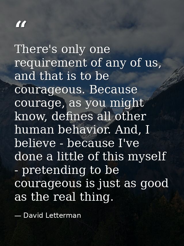 There's only one requirement of any of us, and that is to be courageous. Because courage, as you might know, defines all — David Letterman