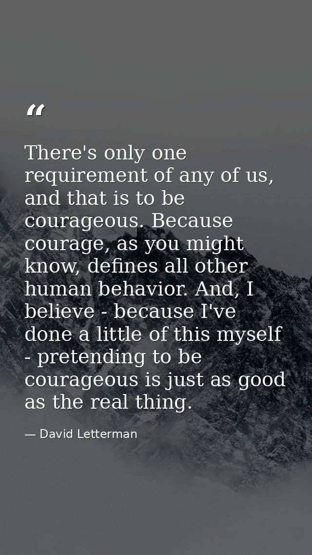 There's only one requirement of any of us, and that is to be courageous. Because courage, as you might know, defines all — David Letterman