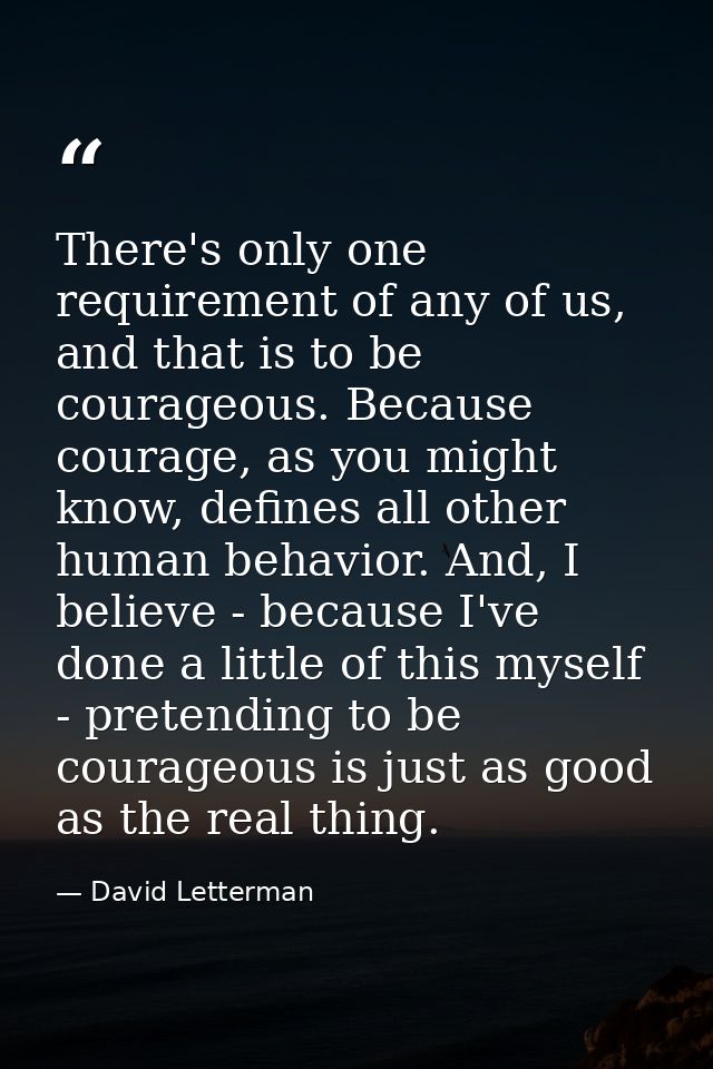 There's only one requirement of any of us, and that is to be courageous. Because courage, as you might know, defines all — David Letterman