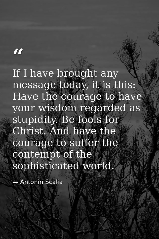 If I have brought any message today, it is this: Have the courage to have your wisdom regarded as stupidity. Be fools fo — Antonin Scalia