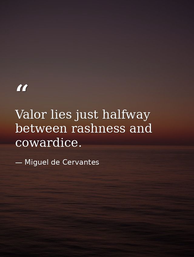 Valor lies just halfway between rashness and cowardice. — Miguel de Cervantes