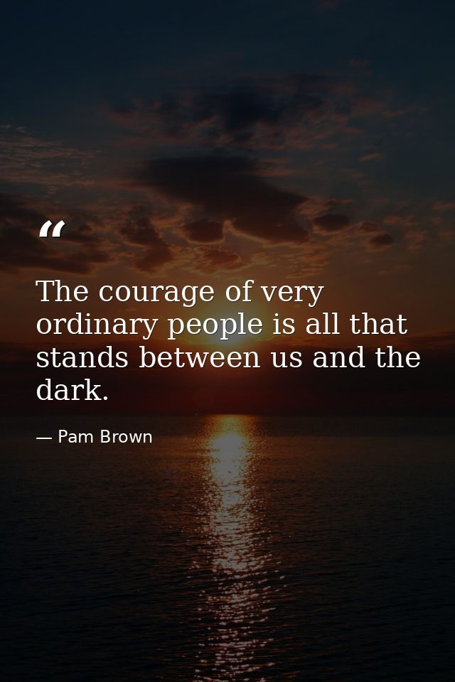 The courage of very ordinary people is all that stands between us and the dark. — Pam Brown
